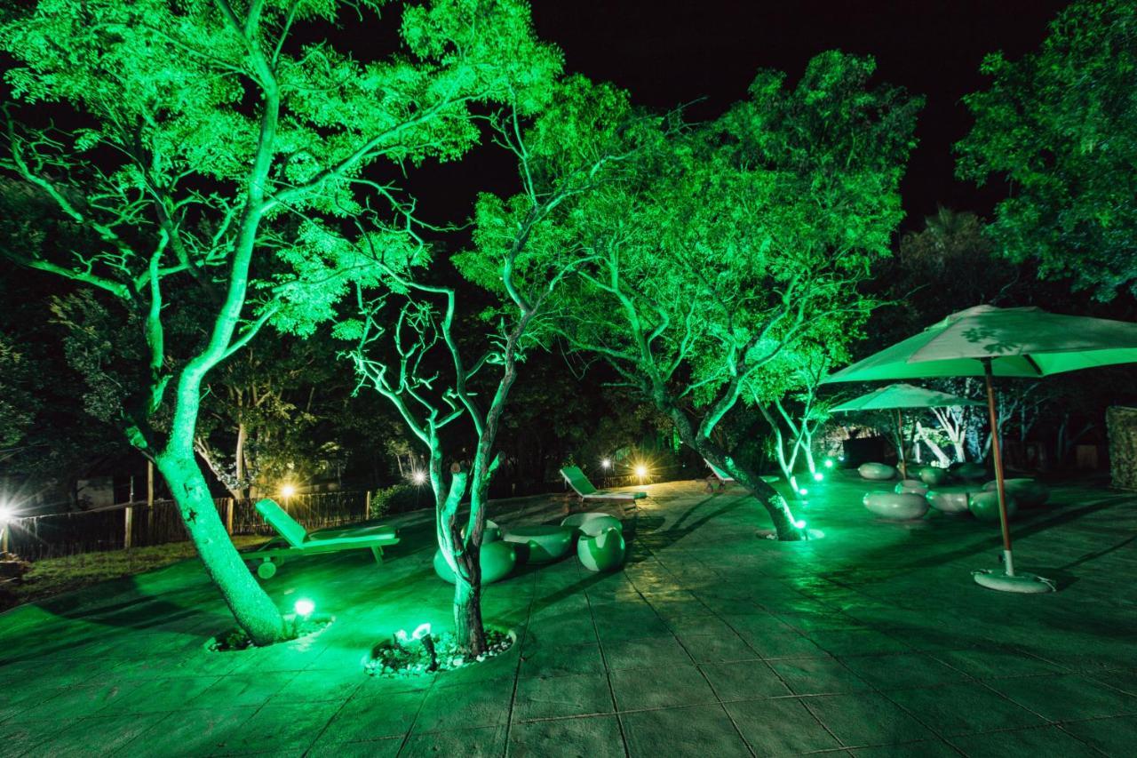 Pecan Bush Lodge Magaliesburg Exteriör bild
